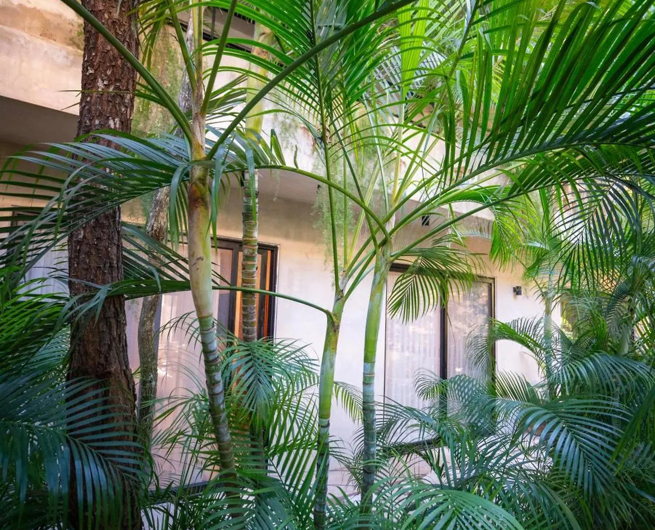 Apartament Your Dream Stay Pool Bikes & Near Every Hotspot Tulum Meksyk