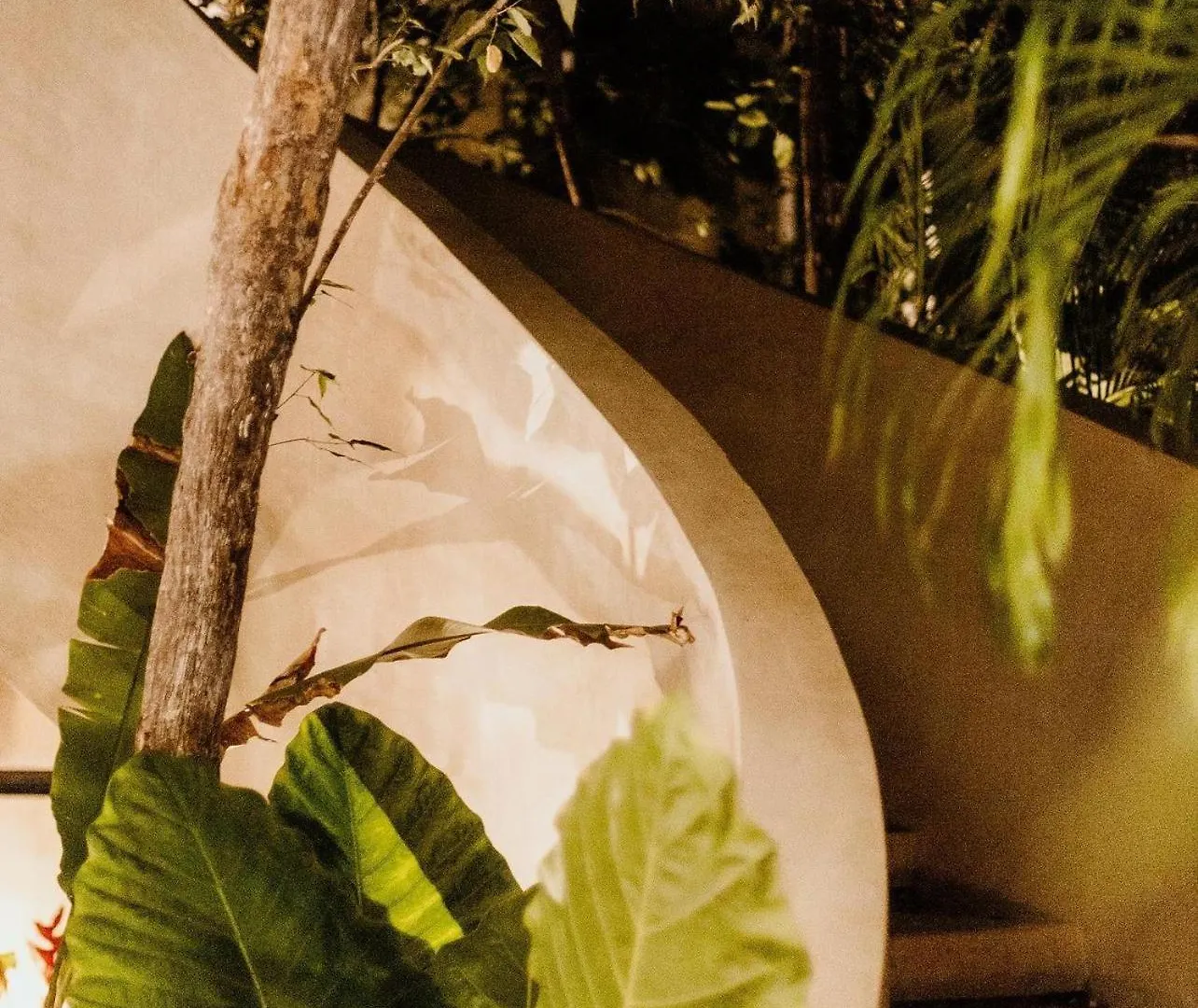 Your Dream Stay Pool Bikes & Near Every Hotspot Tulum
