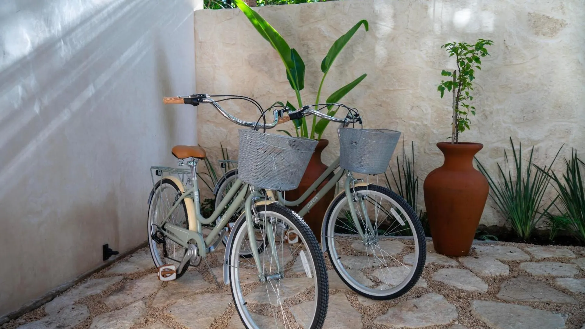 Διαμέρισμα Your Dream Stay Pool Bikes & Near Every Hotspot Τουλούμ