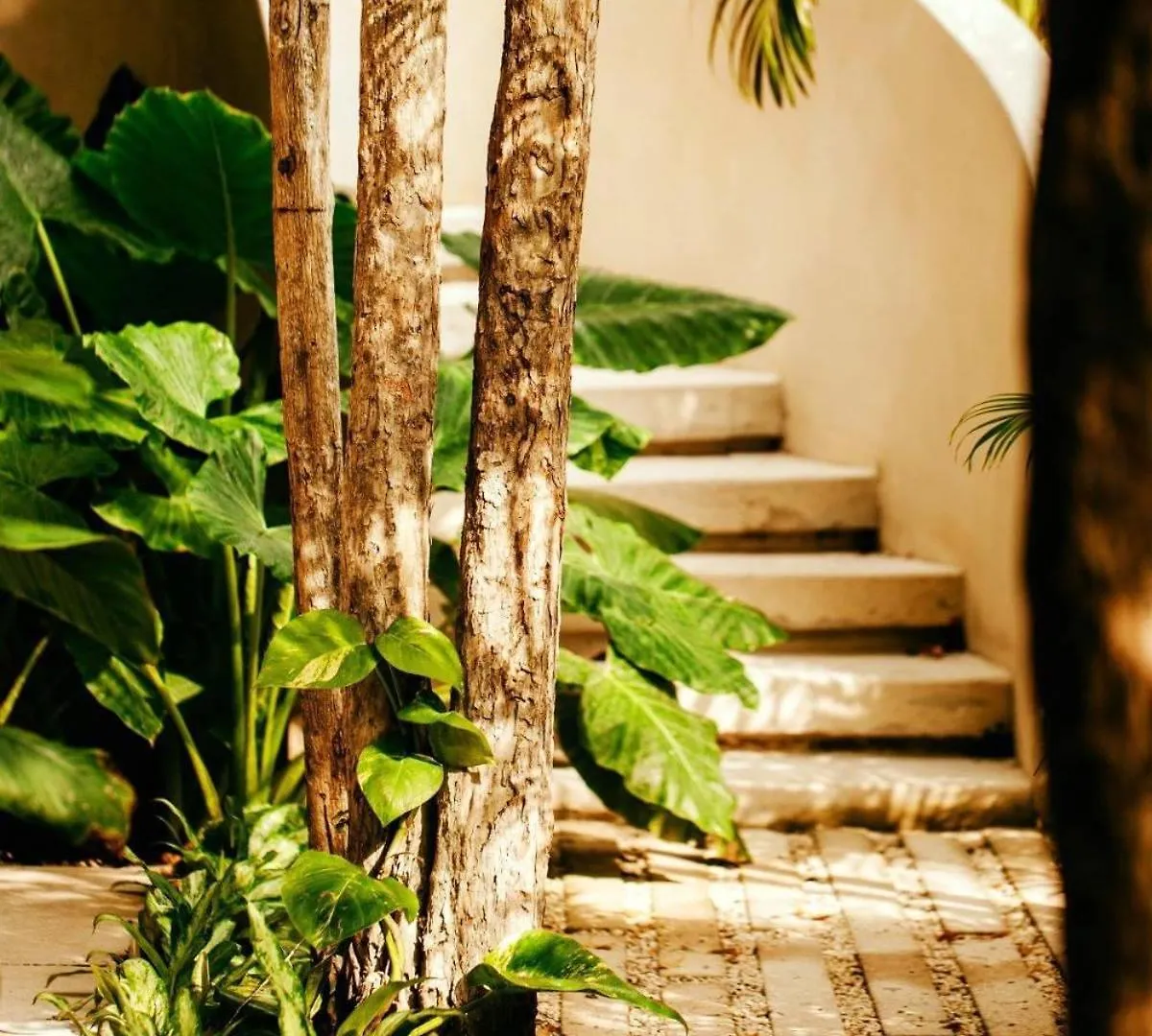 Διαμέρισμα Your Dream Stay Pool Bikes & Near Every Hotspot Τουλούμ Μεξικό